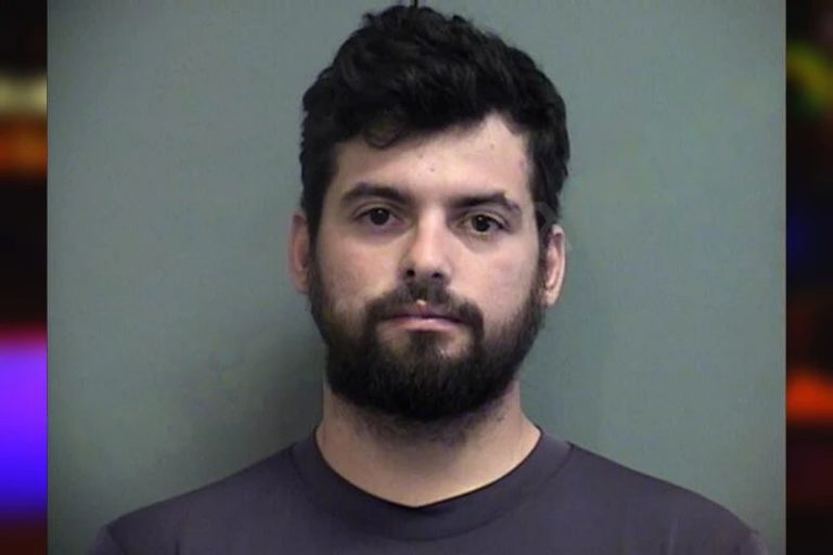 Emerson Souza Brandalise mugshot – Effingham County , Georgia Emerson Souza Brandalise