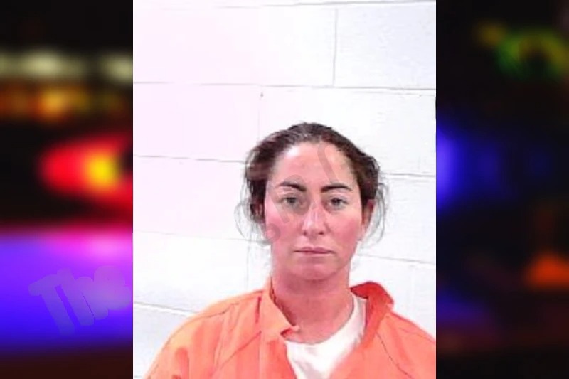 Emilie Nolan mugshot – Fulton County , Georgia Emilie Nolan mugshot