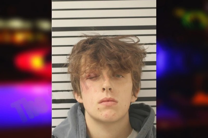 Emily Carter mugshot