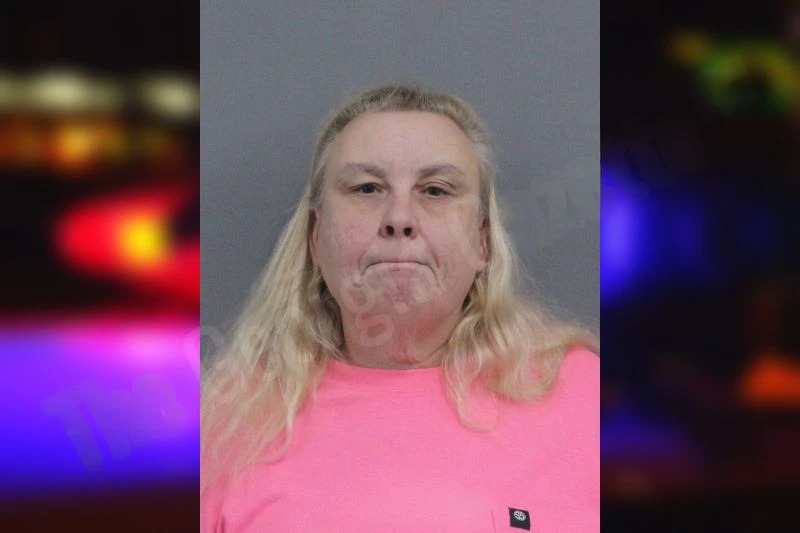 Emily Ellis mugshot – Catoosa County , Georgia Emily Ellis mugshot