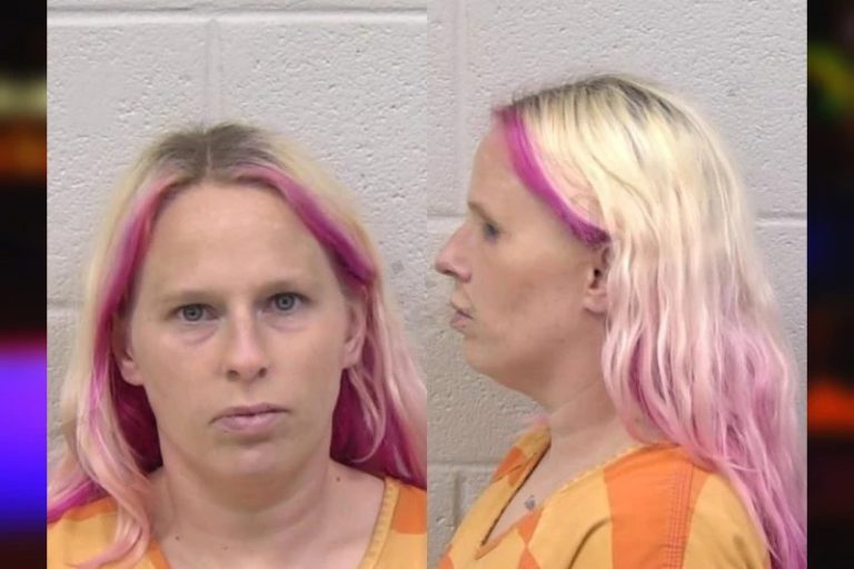 Emily King mugshot – Paulding County , Georgia Emily King