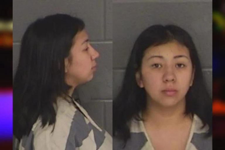 Emily Moreno mugshot – Barrow County , Georgia Emily Moreno