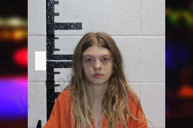 Emily Silvers mugshot – Murray County , Georgia Emily Silvers