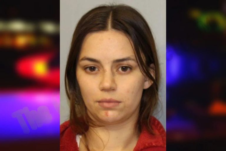 Emma Hislop mugshot – Houston County , Georgia Emma Hislop