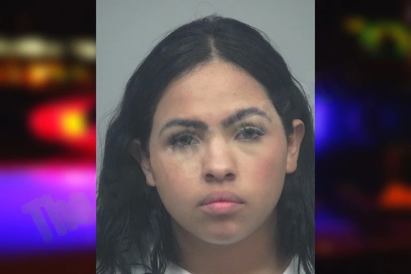 Eriany Molina mugshot – Gwinnett County , Georgia Eriany Molina mugshot