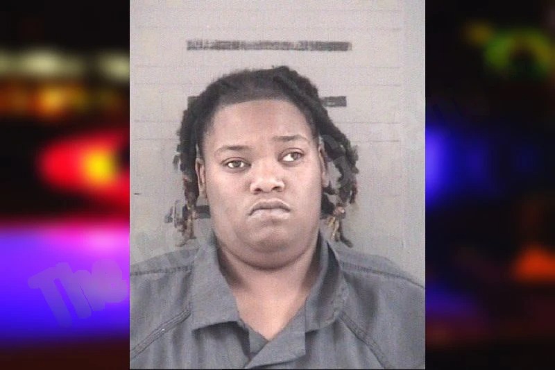 Erica Chappell mugshot