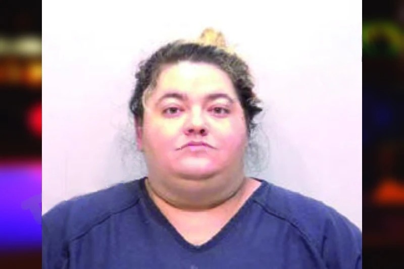 Erica Culberson mugshot