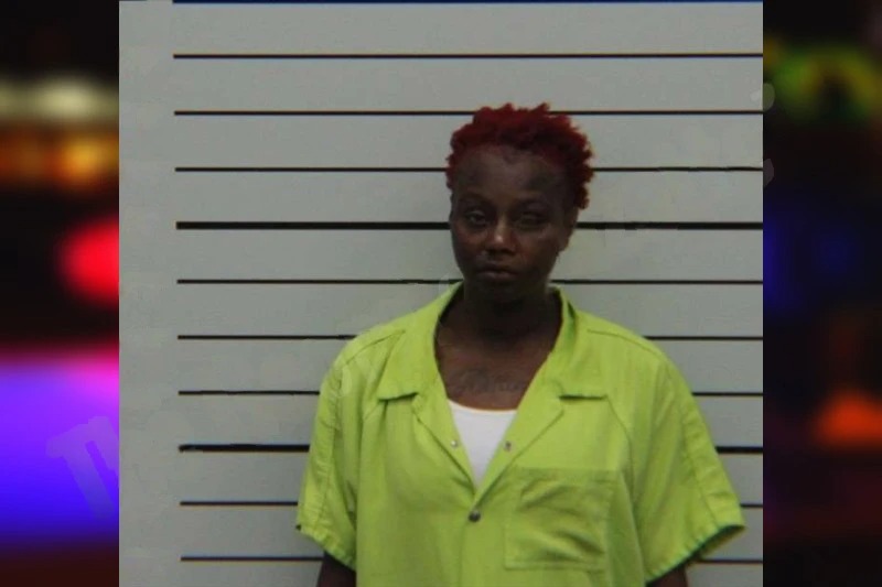 Erica Wilson mugshot – Turner County , Georgia Erica Wilson mugshot