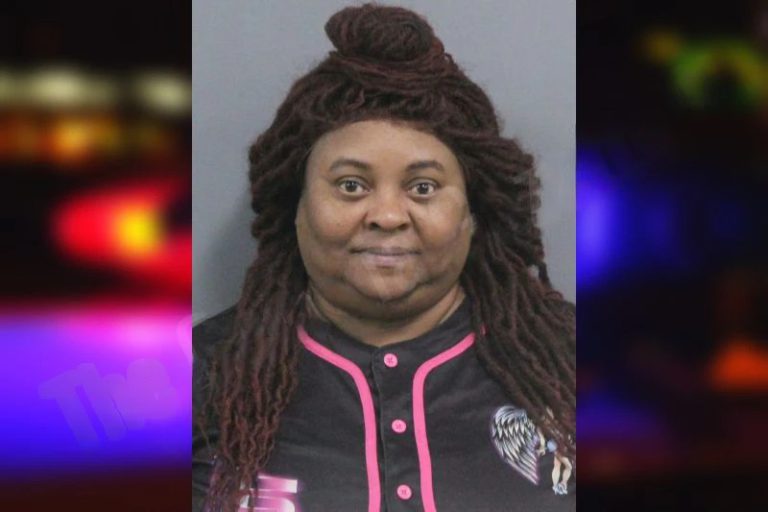 Ericka McCoy mugshot – Catoosa County , Georgia Ericka McCoy