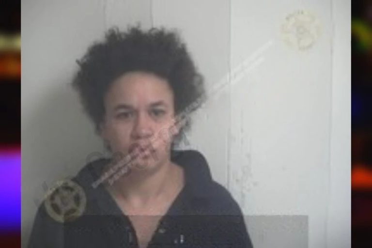 Erika Dippre mugshot – Walton County , Georgia Erika Dippre