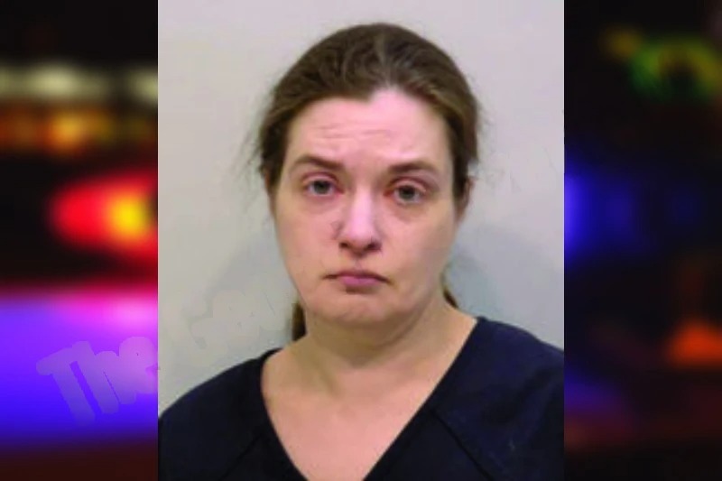 Erin Boulier Mugshots