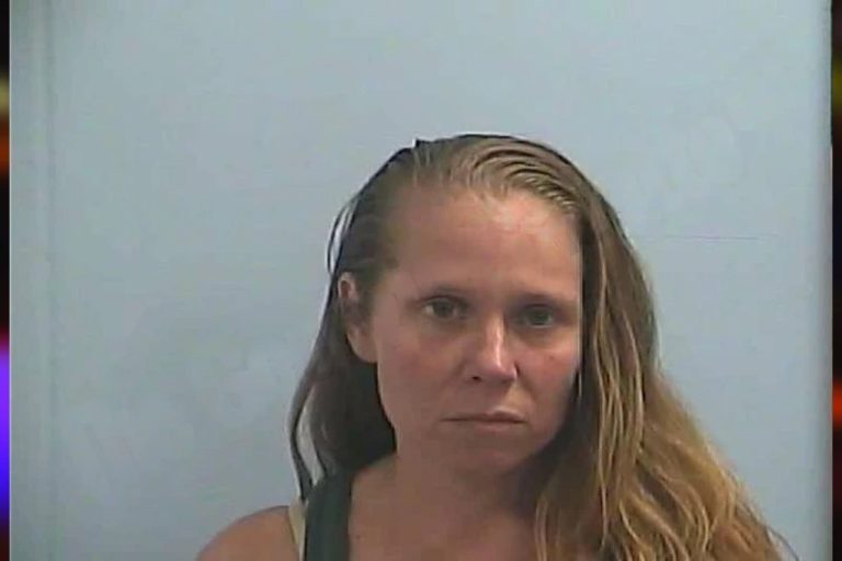 Erin Krenz mugshot – Dawson County , Georgia Erin Krenz