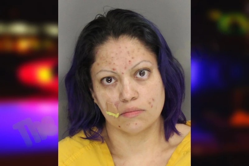 Esmeralda Hogue mugshot