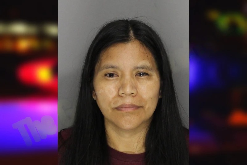 Estela Vicente Mugshots