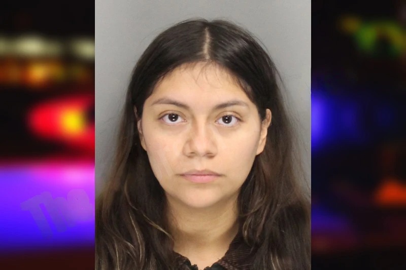 Estrella Reyes mugshot – Cobb County , Georgia Estrella Reyes mugshot