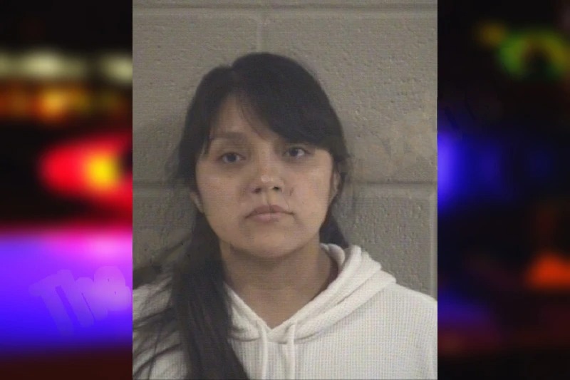 Eulalia Raymundo-Lucas mugshot – Whitfield County , Georgia Eulalia Raymundo-Lucas mugshot