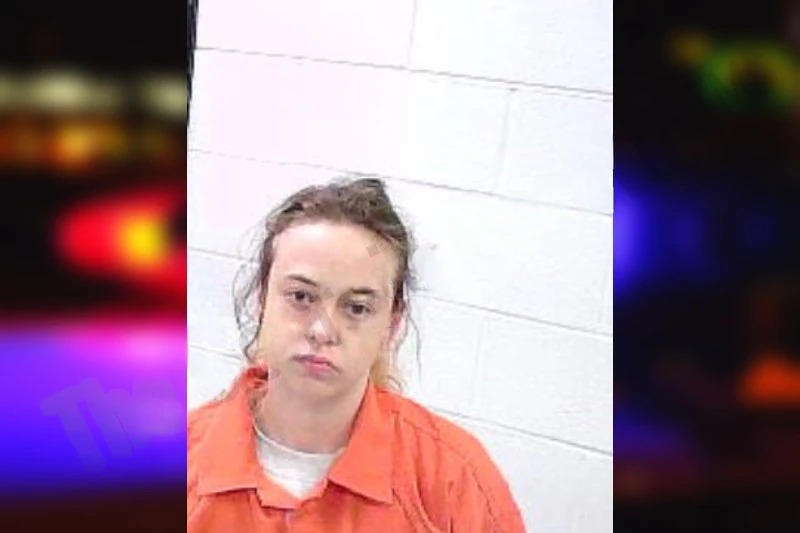 Eva-Lyn Sanford mugshot – Fulton County , Georgia Eva-Lyn Sanford mugshot