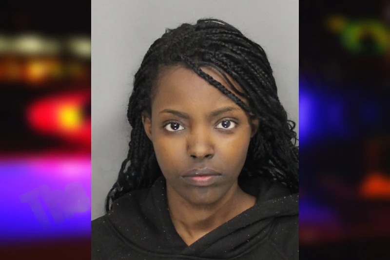 Evalyn Ngige Mugshots