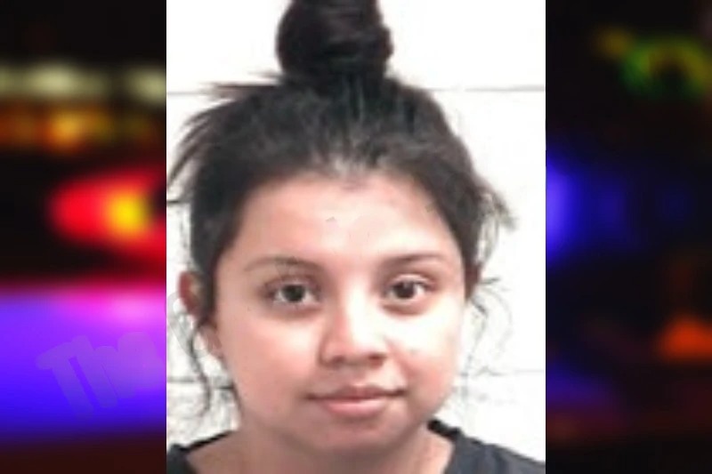 Evelin Pineda mugshot