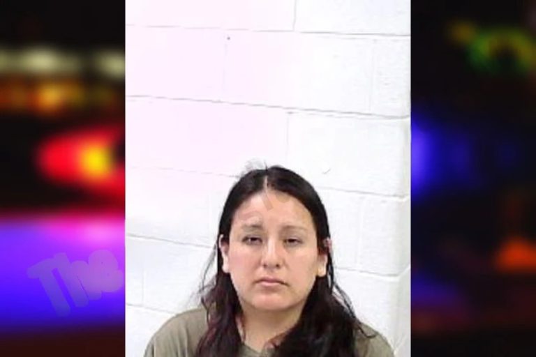 Evelyn Pillco mugshot – Fulton County , Georgia Evelyn Pillco