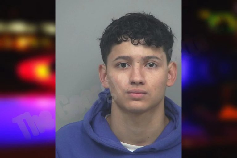 Everson Perez Fernandez mugshot – Haralson County , Georgia Everson Perez Fernandez