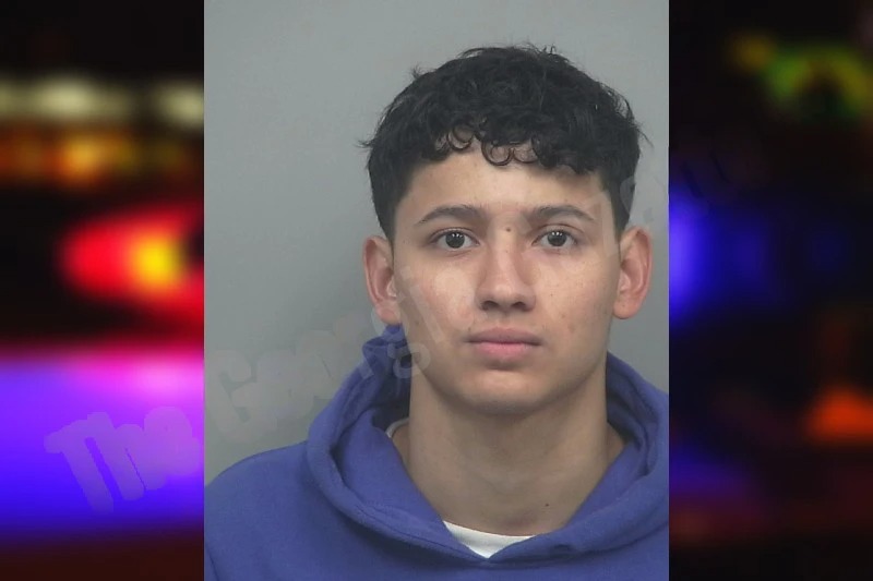 Everson Perez Fernandez Mugshots