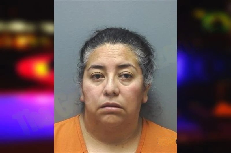 Fabiola Sanchez mugshot