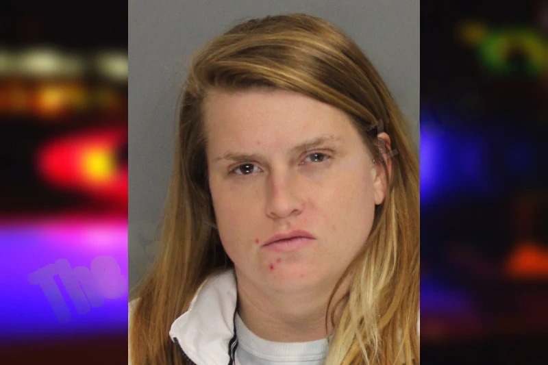 Faye Allison mugshot – Cobb County , Georgia Faye Allison mugshot