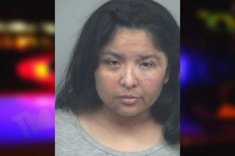 Floridalma Choy Chocoj mugshot – Gwinnett County , Georgia Floridalma Choy Chocoj mugshot