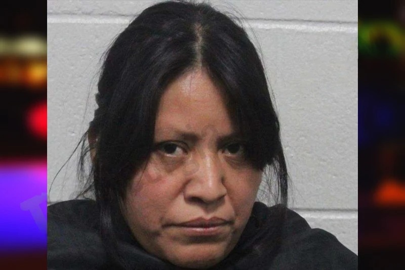 Floridalma Francisco-Martinez Mugshots