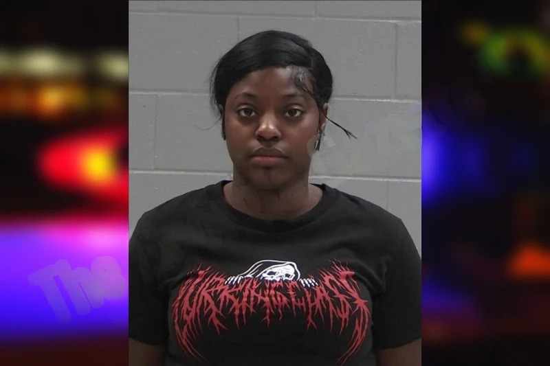 Gabrielle Mitchell Mugshots