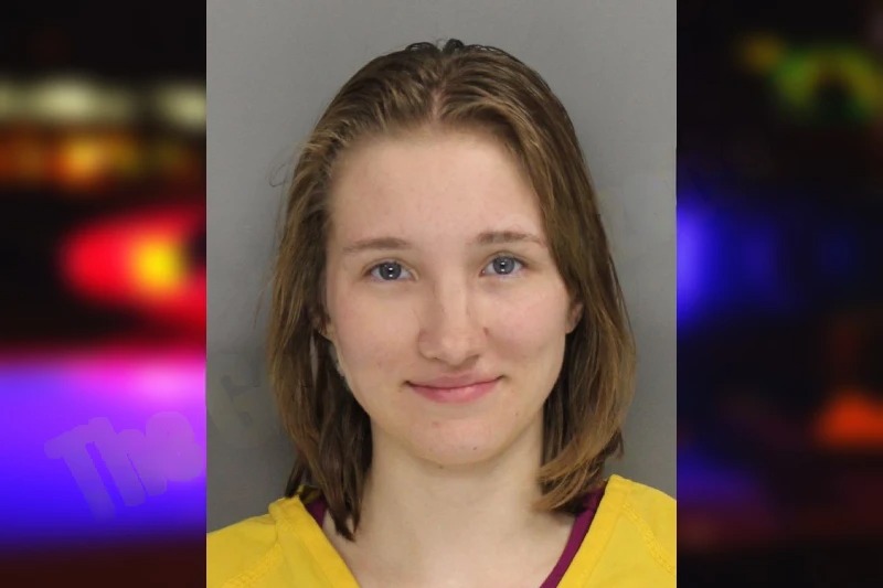 Gabrielle Odom mugshot – Cobb County , Georgia Gabrielle Odom mugshot