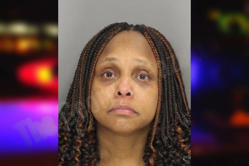 Garisha Torres Mugshots