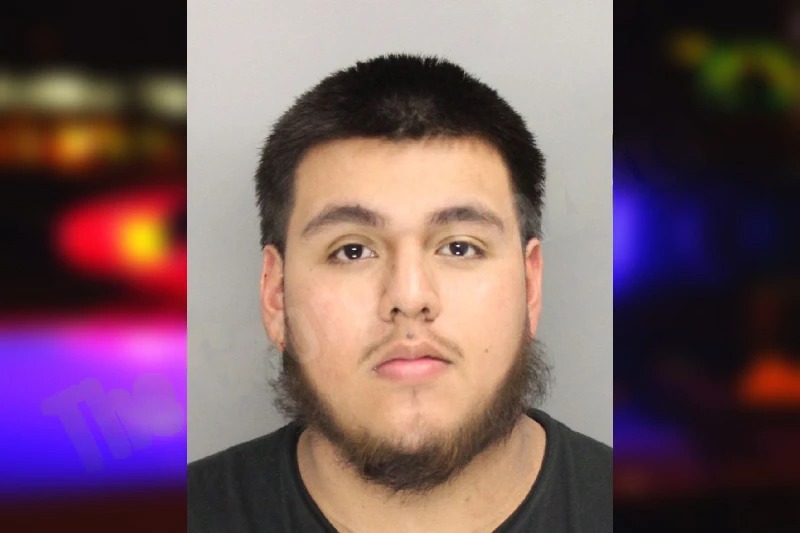 Geovanis Flores mugshot