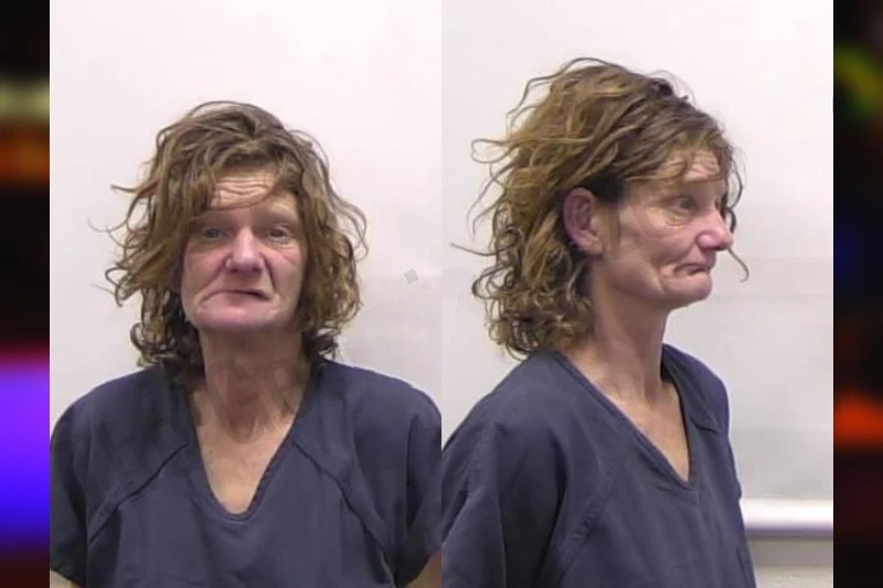 Ginger Wenger Mugshots