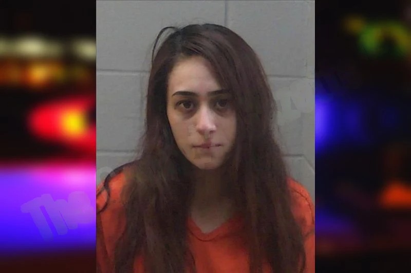 Gisell Palomera Mugshots