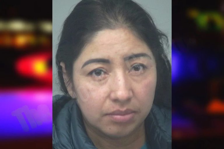 Gladis Rodas Arreaga mugshot β Whitfield County , Georgia Gladis Rodas Arreaga