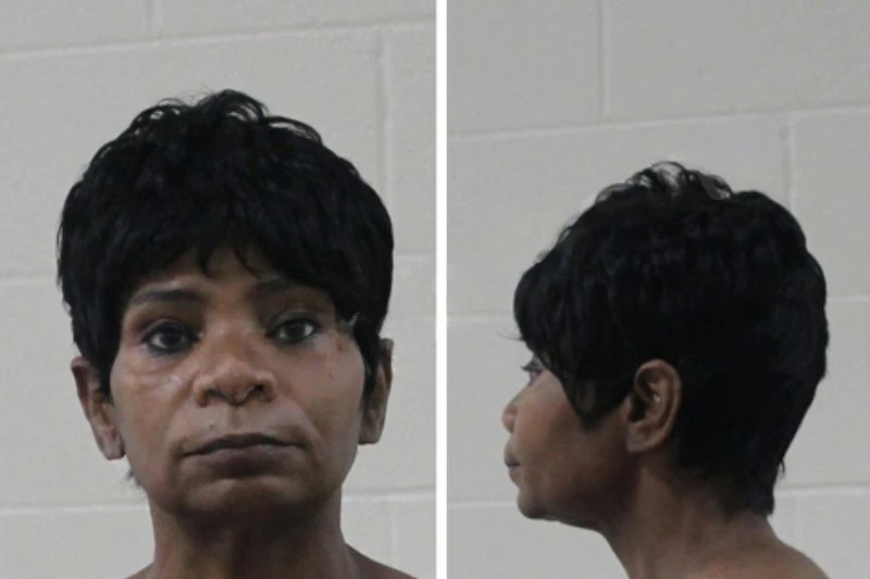 Gloria Lewis Mugshots
