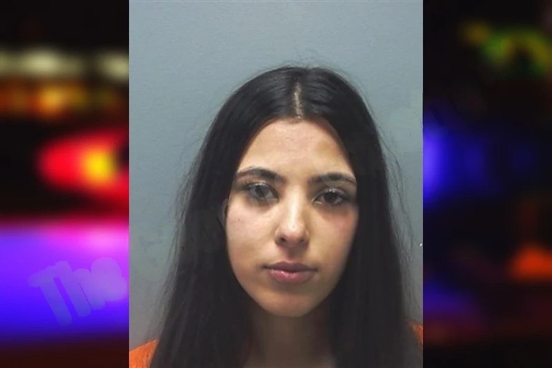 Goubil Salam mugshot – Cherokee County , Georgia Goubil Salam mugshot