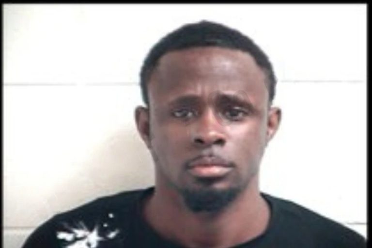 Guennadi Marseille mugshot – Henry County , Georgia Guennadi Marseille