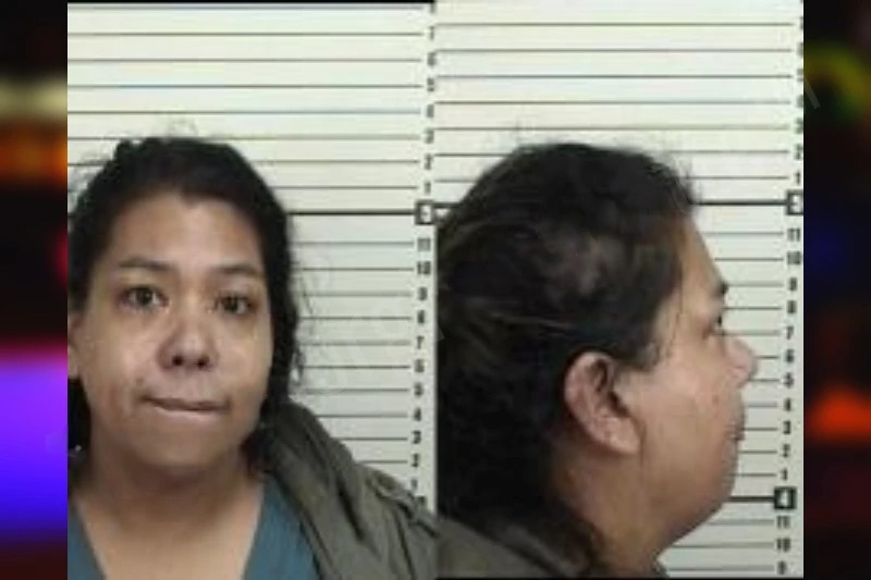 Gwendelyn Quarterman mugshot – Camden County , Georgia Gwendelyn Quarterman mugshot