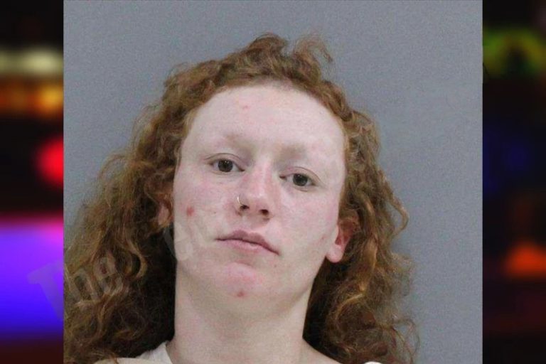 Hailey Cellars mugshot – Rabun County , Georgia Hailey Cellars