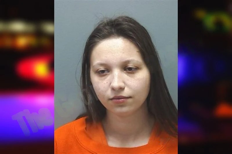 Hailey Chelette mugshot – Cherokee County , Georgia Hailey Chelette mugshot