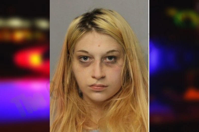 Hailey Nicholson mugshot