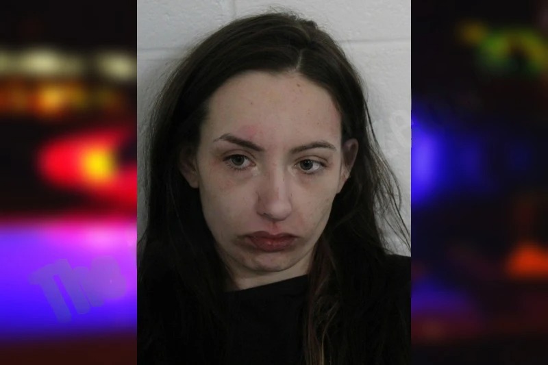 Haley Snyder Mugshots