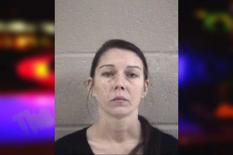 Hannah Brock mugshot – Whitfield County , Georgia Hannah Brock mugshot