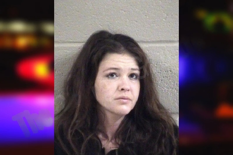 Hannah Chastain mugshot – Whitfield County , Georgia Hannah Chastain mugshot