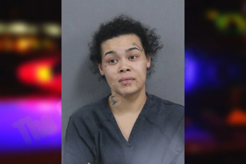 Hannah Moffett mugshot