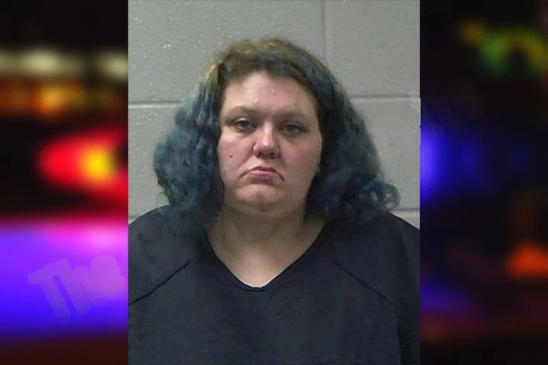 Hannah Parker mugshot – Gilmer County , Georgia Hannah Parker