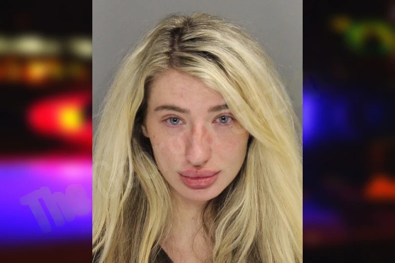 Hannah Stark Mugshots